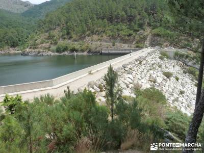 Pinares de la Angostura en Piedralaves;excursiones cerca madrid singles madrid grupos rutas faciles 